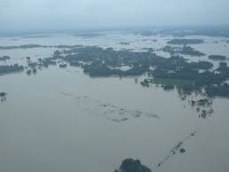 प्रमुख सचिव राजस्व  मनीष रस्तोगी