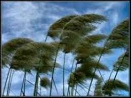 bhopal, Winds changed, effect of western disturbance