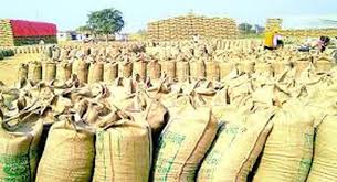 bhopal,Government, purchase paddy 