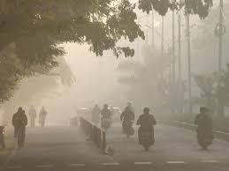 bhopal,MP, Cold effect,  north wind.