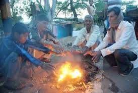 bhopal, Cold day, declared in eight districts of MP