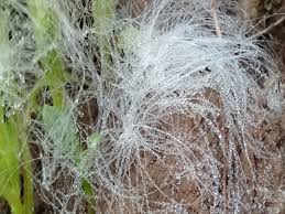 Datia, coldest state, minimum temperature of one degree