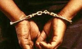 damoh,Kidnappers, minor girls, arrested 