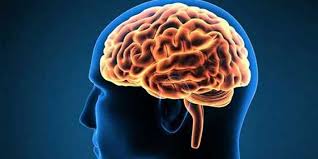 bhopal, Cheap treatment, brain aneurysm , super specialty hospital, Jabalpur