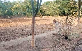 96 एकड़  जमीन ,किसानों ने लगाई हाईकोर्ट से गुहार