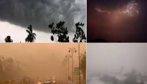 bhopal, MP, Cold winds, hit people, showers may fall