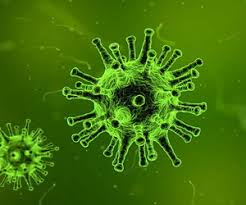 bhopal, Corona virus, under investigation,three medical students 