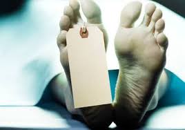 nagda, Dead body ,thrown in jungle, after killing, young man 