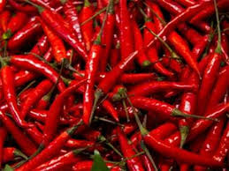 khargon, Nimad chilli, inaugurated , Chilli Festival