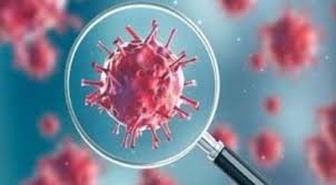 bhopal, Ninth death, corona,Madhya Pradesh, corona infected patient ,dies in Chhindwara