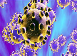 indore, 110 report positive, Delhi, corona infected patients ,number 696 