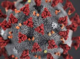 bhopal, 7581 infected patients , 128 new cases ,MP, 328 deaths