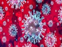 indore, 55 new cases, corona, 132 people died