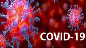 indore,54 new cases , corona ,again , total number ,4427