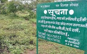 बाघ को रोकने जाली लगाने से ठेकेदार ने खड़े किए हाथ