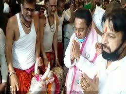 bhopal, Who knows ,all the tiger, who, cat-cat, Kamal Nath