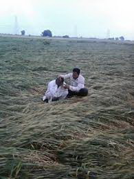 किसानों को दो वर्ष में करीब 15,000 करोड़ की  सहायता