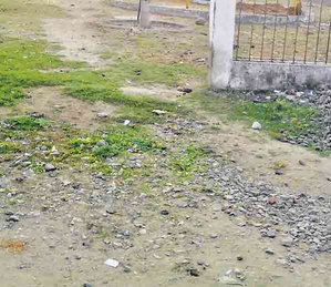 न घास काटी जा रही न सुधरे झूले