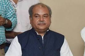 bhopal, By-elections, new direction, development of Madhya Pradesh, Union Minister Tomar