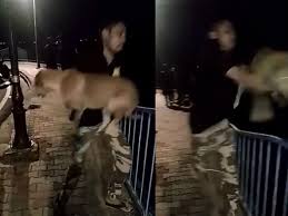 bhopal, Police arrest ,accused man, throwing dog, pond