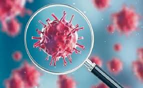 indore,Corona found, 381 newly infected, six people died