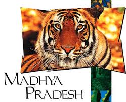 वन्य-प्राणी हैं प्रकृति की अनमोल धरोहर