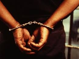 damoh, Illegal weapons, factory busted, arrested with indigenous, baggage arrested