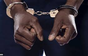 Morena, Four accused, robbery arrested, Sarafa businessman, one million jewelery recovered