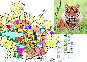 कोलार के आसपास बाघ की दहशत