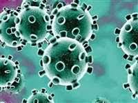 indore, Corona records ,682 new cases found,three also died