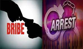 panna, Patwari arrested , taking bribe , five thousand, name of partition