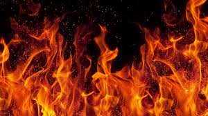 indore,Thieves first ,cleaned hands, ready-made ,garment warehouse