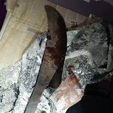 Dhar, Wife hanged herself, after brutally killing, her husband