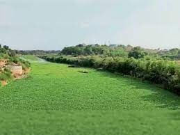 mandsour, No one ,paying attention, Shiva