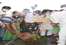 mandsor, Scindia took blessings, Lord Pashupatinath