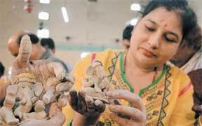 पीओपी मूर्तियों पर सरकार से सफाई मांगी