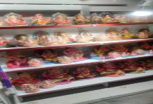 anuppur, Vidhanaharta Ganesh sits , homes with puja pandals