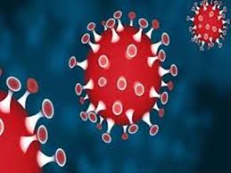 bhopal,1288 new cases , corona, two died