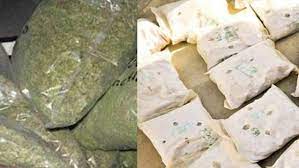 ujjain,Five arrested, 41 kg of ganja