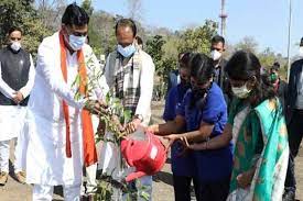 bhopal,Chief Minister Chouhan, planted almonds, Maulke saplings