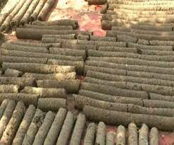 betul,Triveni Gaushala , free cow dung wood ,Holika Dahan