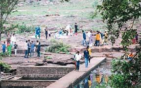 कलियासोत में बाघ ,टॉवर पर चढ़ा युवक