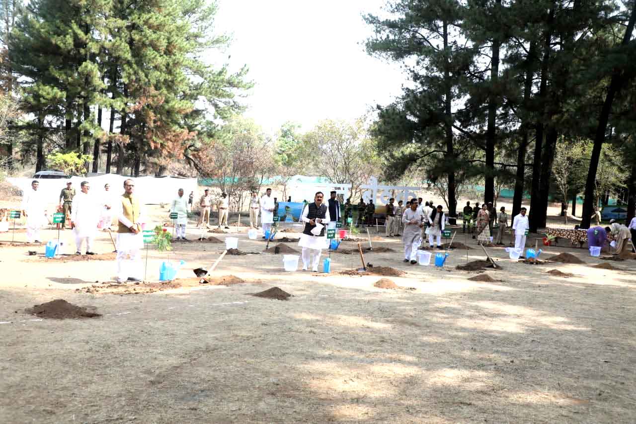 bhopal, Chief Minister Chouhan, ministers planted ,blue Gulmohar 