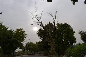 gwalior, temperature dropped,two degrees 