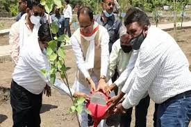 bhopal, Chief Minister Chouhan, planted saplings