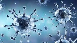 bhopal, 28 new cases , corona found in MP