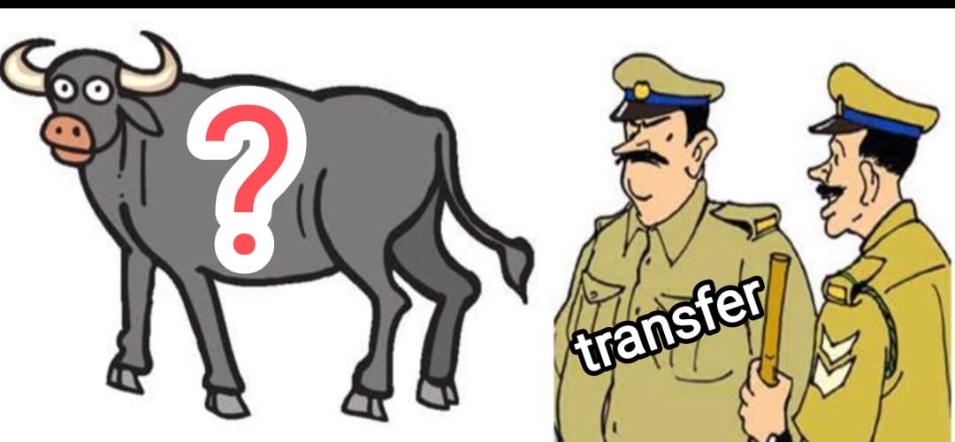 भैंस चोरी की शिकायत पर एसपी का तबादला