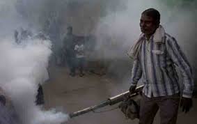 डेंगू पीड़ित 140 के पार,कोलार में छिड़की दवा 