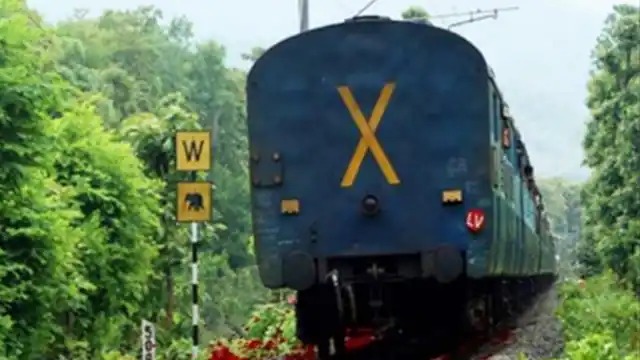 तीन मासूम बच्चियों के साथ पिता ने की आत्महत्या 