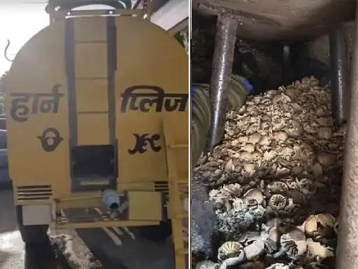 पुष्प स्टाइल में हो रही थी डोडाचूरा की अवैध तस्करी 